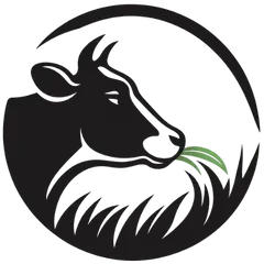 Premium Animal Feed Supplement